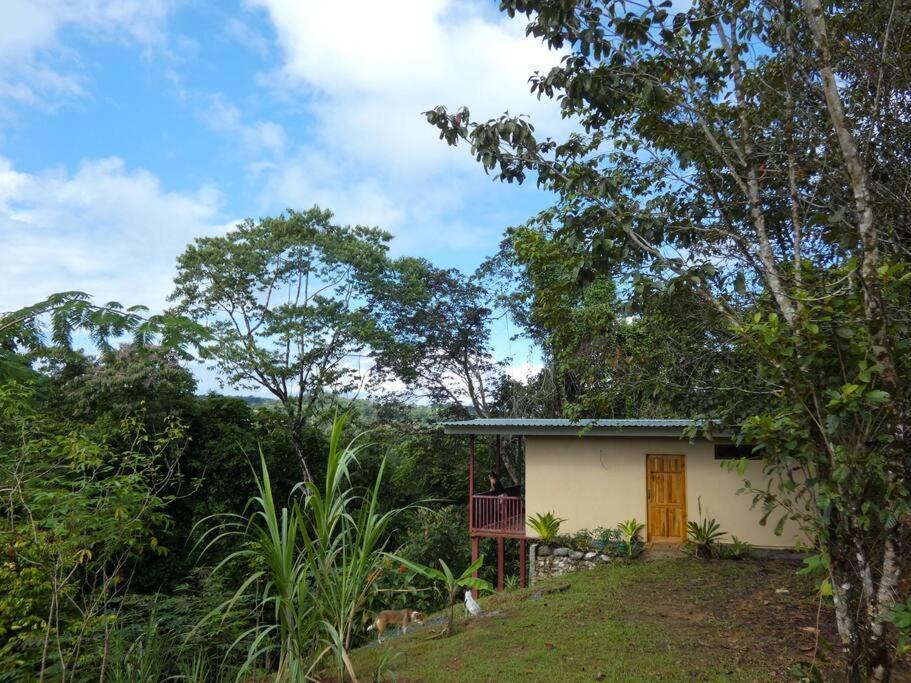 Tapiru'S House - Bahia Drake Apartment Drakes Bay Exterior foto
