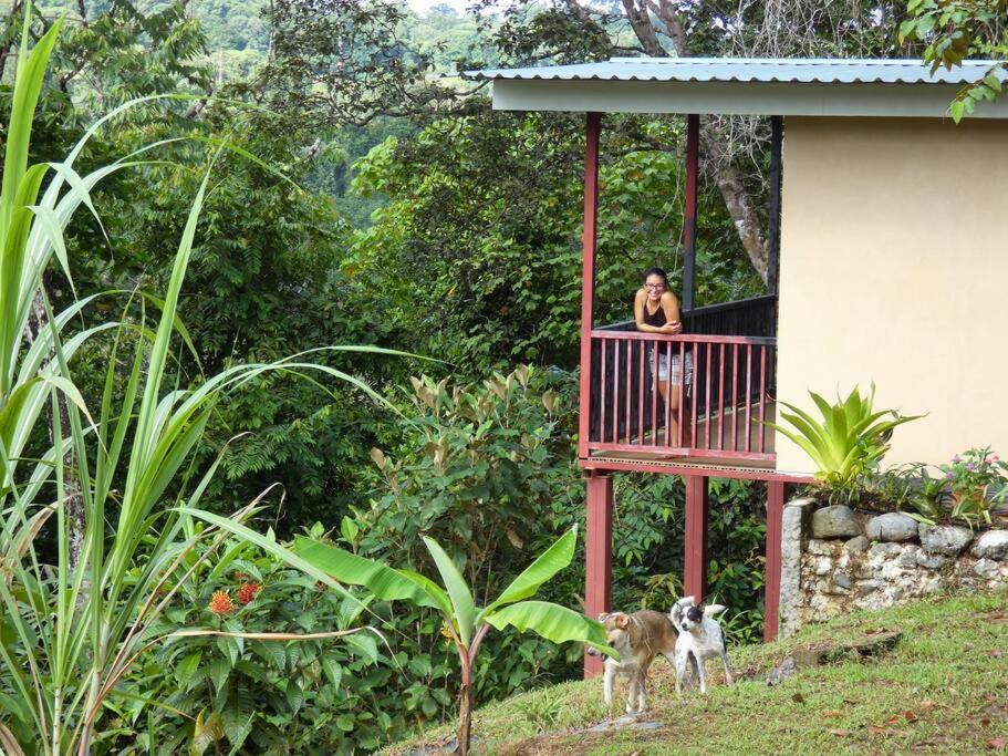 Tapiru'S House - Bahia Drake Apartment Drakes Bay Exterior foto
