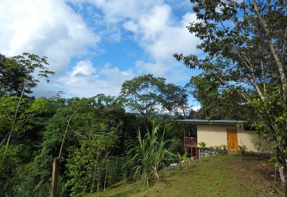 Tapiru'S House - Bahia Drake Apartment Drakes Bay Exterior foto